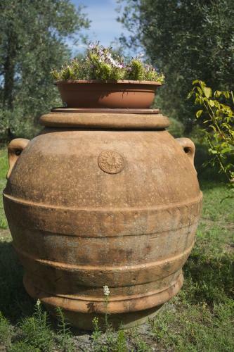 Agroturismo Il Fornello