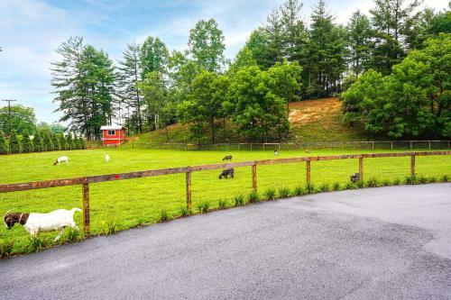 Pisgah Forest Farm Home Outdoor Pool And Games