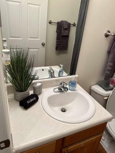 Apartamento Your Charming Comfy Cove Ev Charging Wake Forest