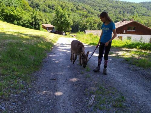Waldh�tte Am Eselhof