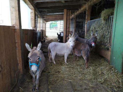 Waldh�tte Am Eselhof