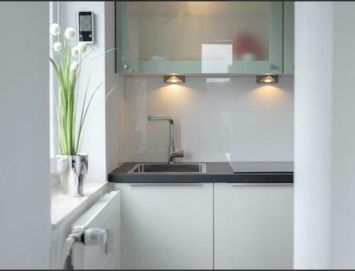 Deluxe Apartment Seeteufel