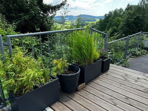 Apartamento Ferienwohnung Sonnengarten