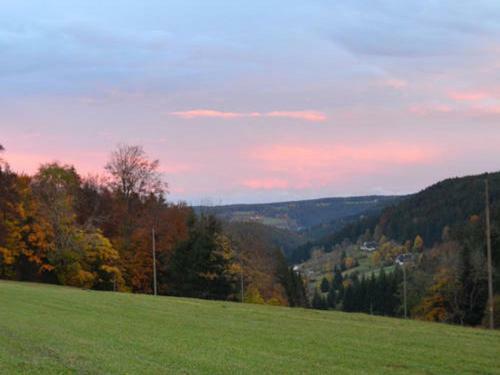 Apartamento Unterfalkenhof