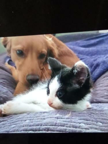 Bed & Breakfast 19