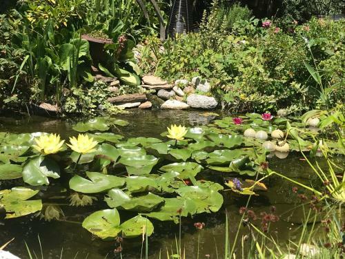 Bed & Breakfast La Maison D'ivona