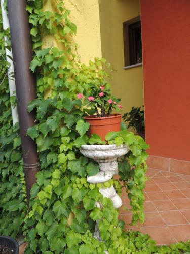 Hotel Resort Sile River