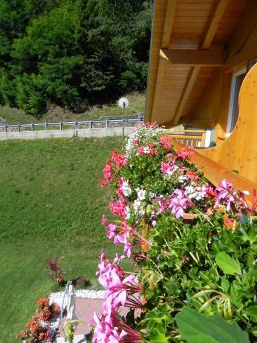 Agroturismo Sole Levante