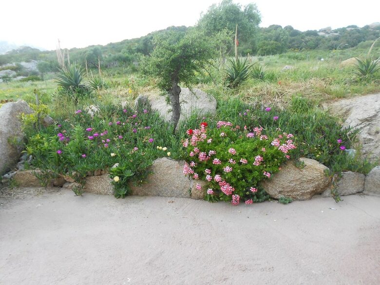 Apartamento Locanda Domus De Vida Turismo Rurale