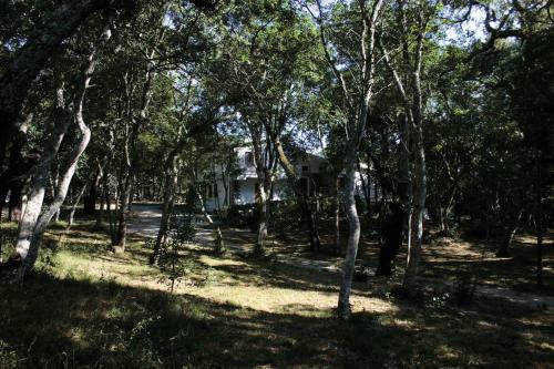 Bed & Breakfast Conca Marina