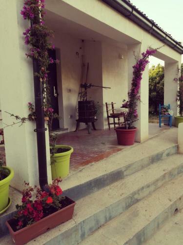 Bed & Breakfast Villa Del Lupo