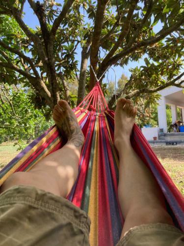 Bed & Breakfast Villa Del Lupo
