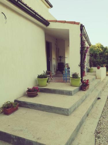 Bed & Breakfast Villa Del Lupo