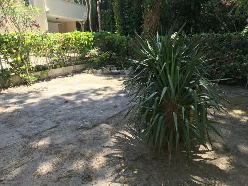 Apartamento Villa Veranda