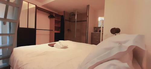 Apartamento Charmant Appartement Hyper-centre