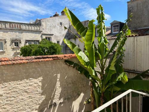 Apartamento L'escale