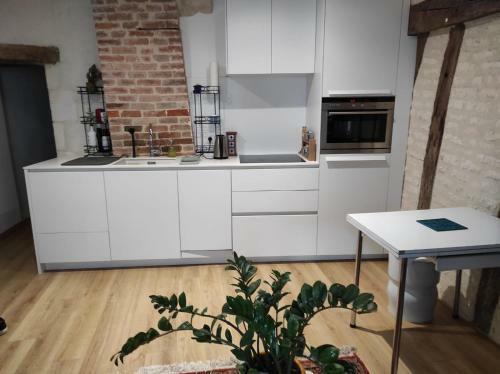 Apartamento Duplex Du March�
