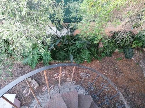 Apartamento Jungle Room