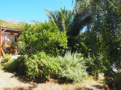 Apartamento Jungle Room