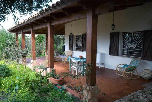Apartamento Jungle Room