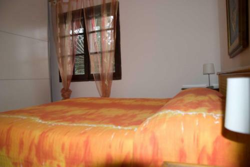 Apartamento Jungle Room