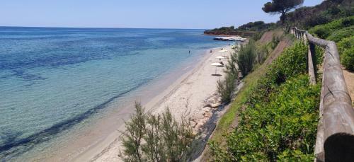Villetta In Pineta