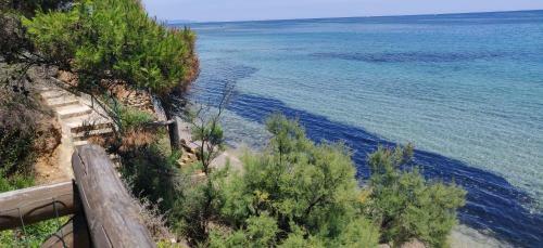 Villetta In Pineta