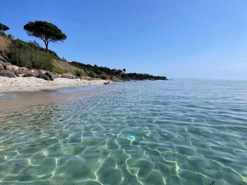Tita - Villa Immersa Nel Verde A 300 M Dal Mare