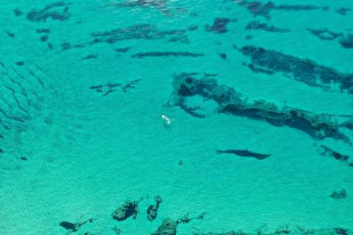 Tita - Villa Immersa Nel Verde A 300 M Dal Mare
