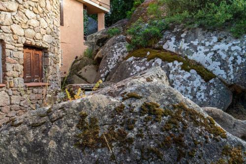 Apartamento I Lecci 3 - Klodge