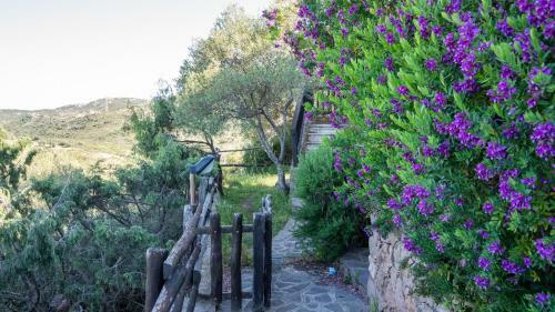Apartamento La Rosa Dei Venti Apts
