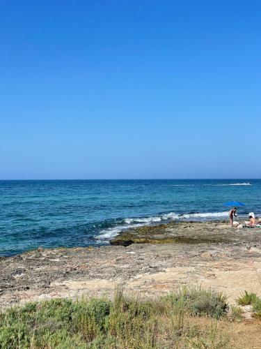 Le Case Sul Mare Riccio, Marea, Onda