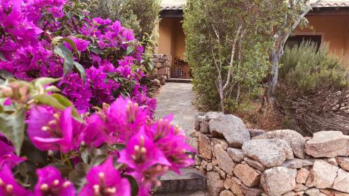 Casa E Natura