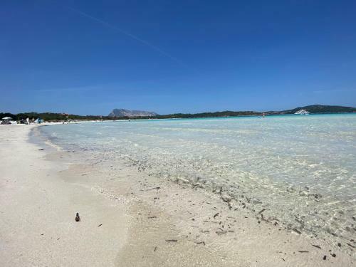 Villetta Vista Mare E Tavolara