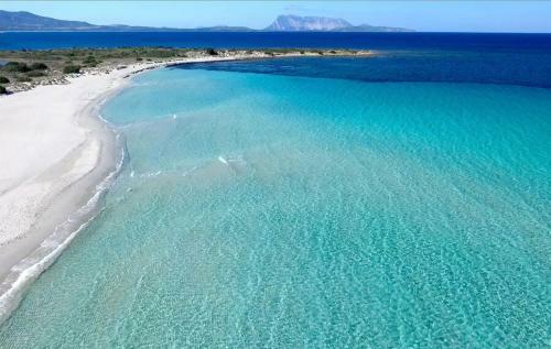 Villetta Vista Mare E Tavolara