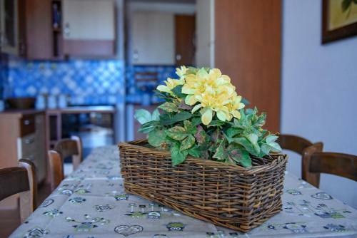 Apartamento Appartamento Mughetto Con A/c