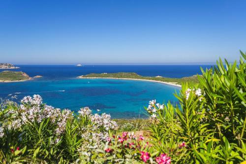 Villa Cesari 80mt From The Beach