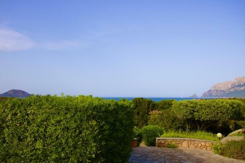 Villa Cesari 80mt From The Beach