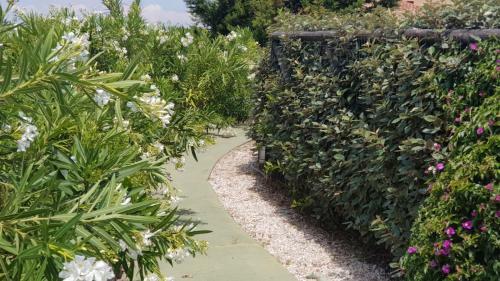 Apartamento Liscia Di Vacca_ Bilocale A
