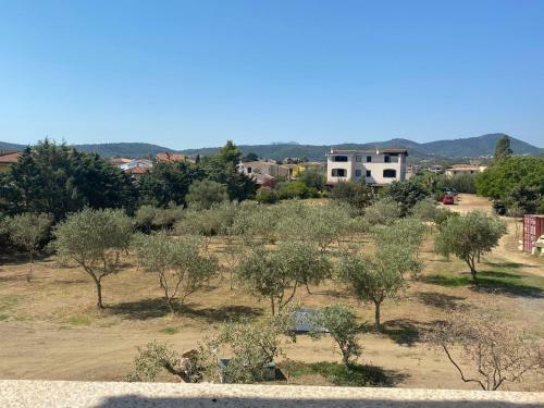Hostal Villa Lentischio