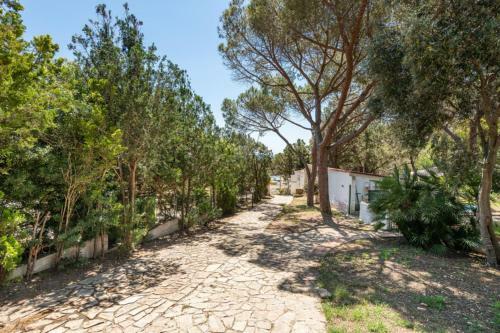 Apartamento Piedi Nell'acqua3