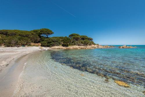 Apartamento Piedi Nell'acqua3