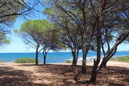 Maiorca Sea-view Apartment