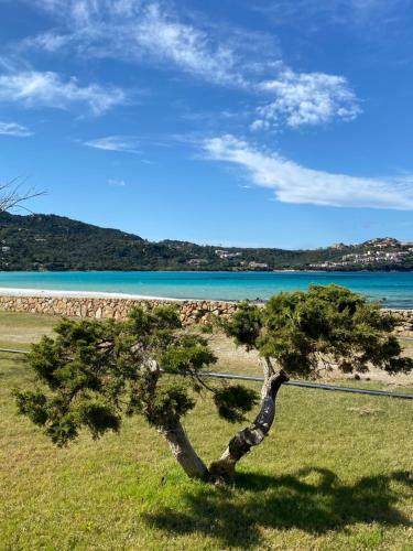 Hostal Camere Cala Reale Marinella
