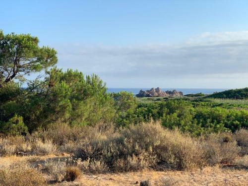 Apartamento Residence Cala Rossa