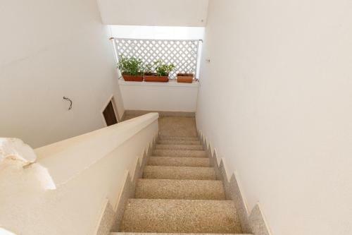 Apartamento Casa Apollo By Barbarhouse