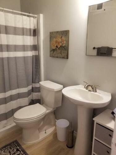 *new*entire Home In Rose District*dine*shop*fun