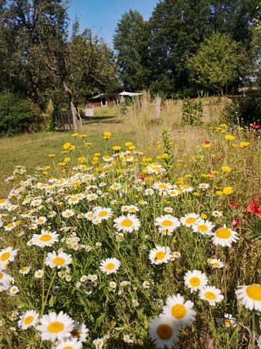 Gartenh�tte - Schlafen Bei Den Schafen