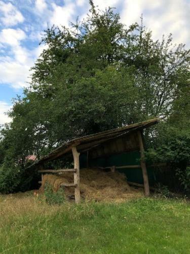 Gartenh�tte - Schlafen Bei Den Schafen
