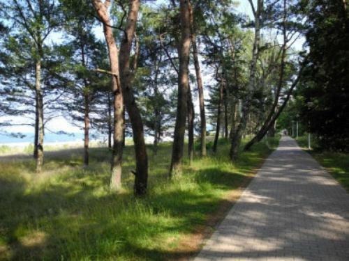 Apartamento Seeblick - A69923